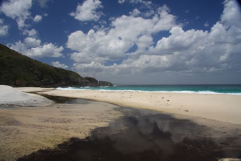 West Cape Howe National Park