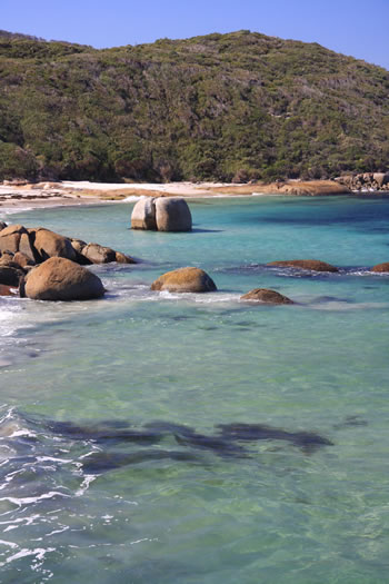 Looking East towards Lights Beach