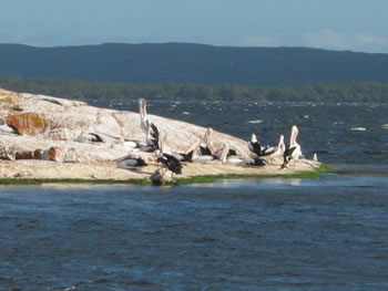 Monkey Rock Western Australia