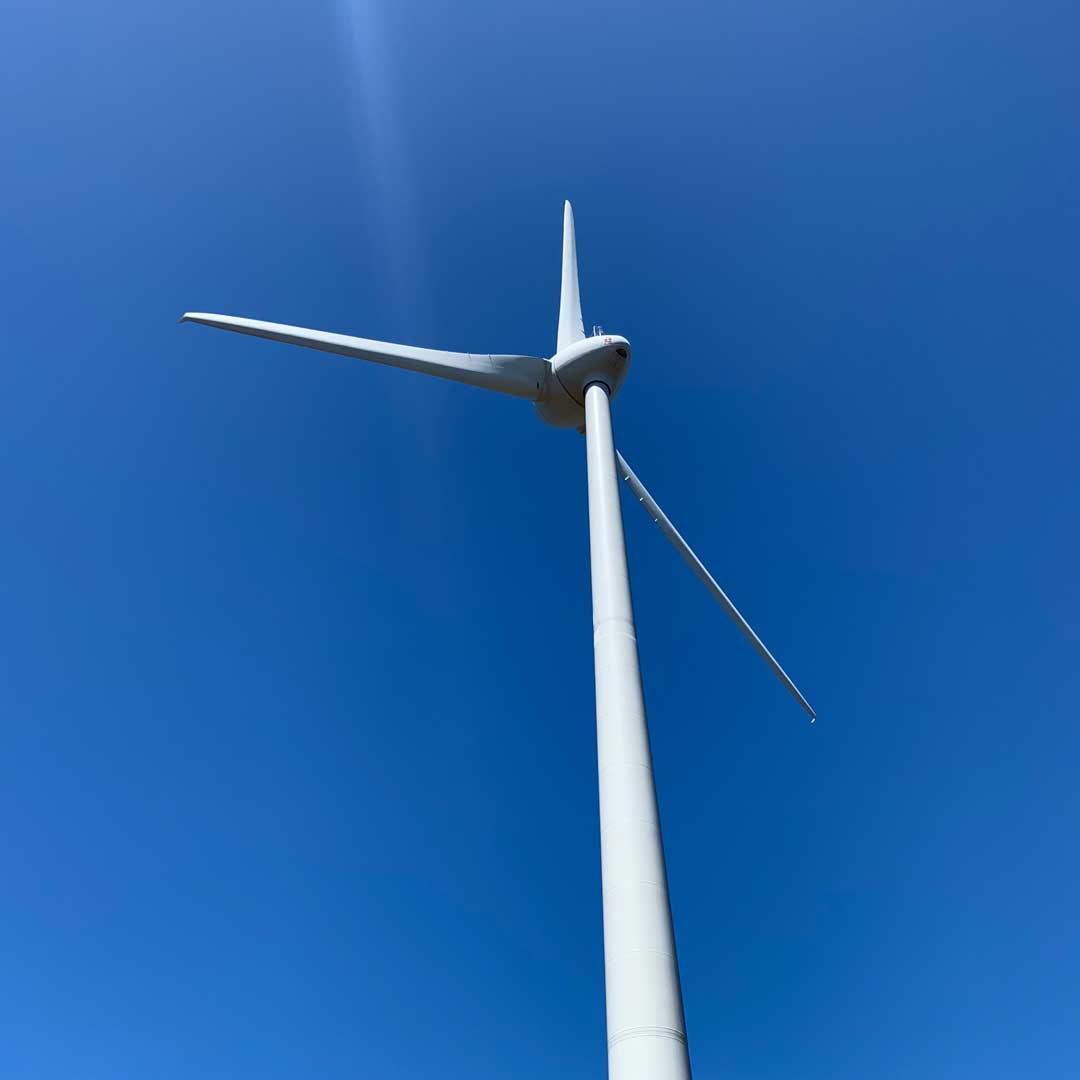 Albany Wind Farm