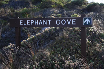 Elephant Cove Denmark Australia