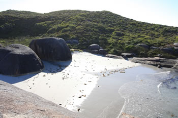 Elephant Cove