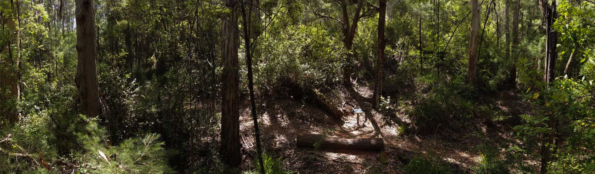 Harewood Forest Walk, Denmark WA