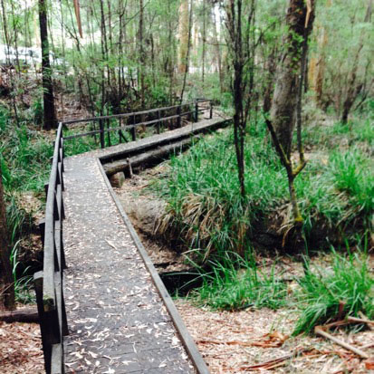 Harewood Forest Walk