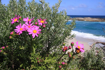 Across William Bay National Park to the West