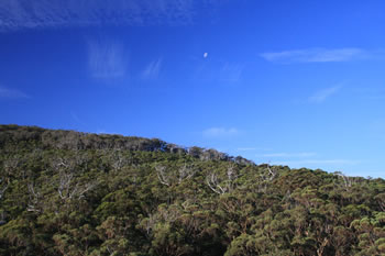 Monkey Rock from the Base