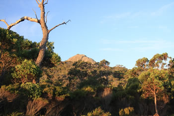 Monkey Rock, from the bottom...