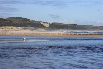 Parry Beach, William Bay NP