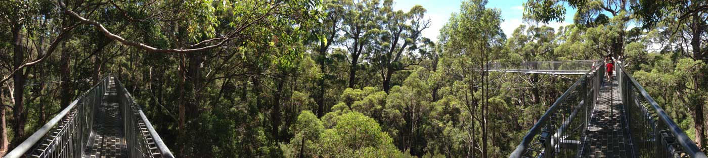 Valley of the Giants for Kids, Denmark WA