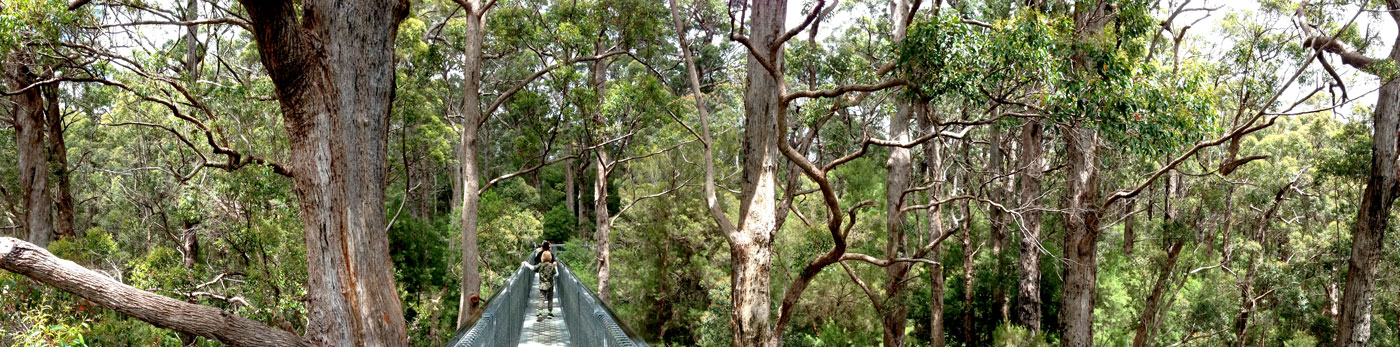 Walking in Denmark, Western Australia