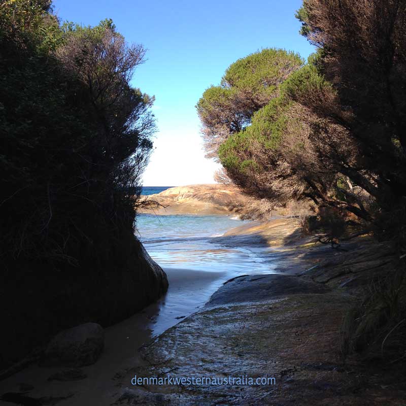Madfish Bay