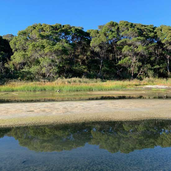 Wilson Inlet facing North